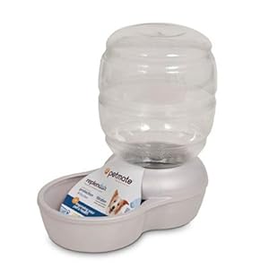 Petmate Replenish Pet Waterer with Microban, 1-Gallon, Pearl White