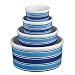 Ceramic Dog Dish