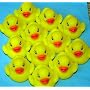 12 New Floating Yellow Rubber Ducks