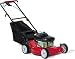 Lawnflite LF-53SPB 5HP 21-inch/ 53cm 4 Wheel Self Propelled Lawnmower with Briggs Engine