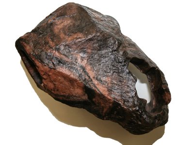 MagNaturals 37131 Hideaway Earth