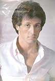 Sylvester Stallone~ Sylvester Stallone Poster~ Rare Vintage Poster!!~ Approx 23