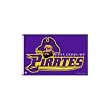 East Carolina Pirates NCAA 3'x5' Banner Flag by Rico Industries