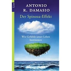 Der Spinoza-Effekt: Wie Gefühle unser Leben bestimmen