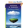 Der Spinoza-Effekt: Wie Gef�hle unser Leben bestimmen