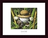 Lost Ball, Framed Art Print by Commander