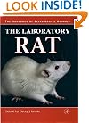 The Laboratory Rat (Handbook of Experimental Animals)