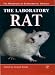 Book The Laboratory Rat (Handbook of Experimental Animals)