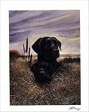 Father and Son, Black Lab Art Poster Print by Vittorio Firenze, 8x10