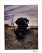 Father and Son, Black Lab Art Poster Print by Vittorio Firenze, 8x10