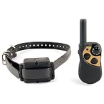 Remote Trainer