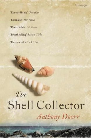 Flamingo The Shell Collector