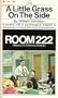Room 222 #5: a Little Grass on the Side