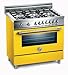 Bertazzoni : Professional X365GGVGI 36