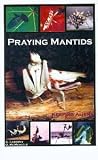 Praying Mantids: Keeping Aliens