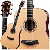 Taylor Guitars DN8 Dreadnought Acoustic Guitar