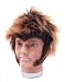 Wolfman Halloween Fancy Dress Wig Inc FREE Wig Cap