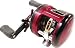 �_�C��(Daiwa) �~���I�l�ASW 203 00613857