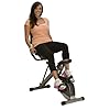 Exerpeutic 400XL Folding Recumbent Bike