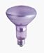 Personal Health Care : Verilux 100 Watt Frosted Reflector Flood Bulb - (Model R20FF100VLX)