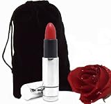 Lipstick Vibe Personal Massager Vibrator WATERPROOF Silver Case With Travel Accessory Bag