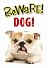 dangerous dogs-dangerous dogs breeds-dog signs-dangerous dog breeds-dangerous breeds of dogs-dangerous dog breeds uk-dog law-photos of dogs-images of dogs-dangerous dogs in the uk-dog sign-douge de bourdeaux-large breeds-dangerous-bullmastiff-bull breed dog-funny photos of dogs