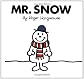 Mr. Snow