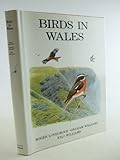 Birds in Wales