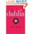 The Book of Dahlia: A Novel