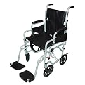 Drive Medical Polly-Wog Wheelchair/Transport Chair - Silver