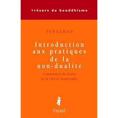 Introduction aux pratiques de la non-dualit�
