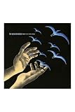 The Helio Sequence Keep Your Eyes Ahead Vinyl LP