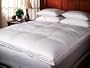Down Top Featherbed - Full Size - Hypo-Allergenic