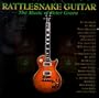 Rattlesnake Guitar: Music of Peter Green