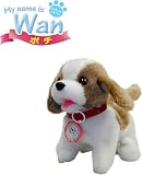 My name is Wan ポチ