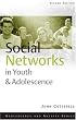 Social Networks in Youth and Adolescence (Adolescence and Society Series)