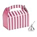 Fun Express Mini Stripe Pink Treat Boxes (24 Count)