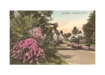 Spring in Pinehurst, North Carolina