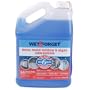 Wet and Forget 10587 1 Gallon Moss, Mold and Mildew Stain Remover