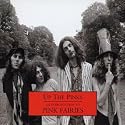 Up the Pinks: An Introduction to the Pink Fairies