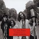 Up the Pinks: An Introduction to the Pink Fairies
