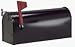 Outdoor Living : Fulton 1C-BLK Rural T-1 Style Promotional Mailbox