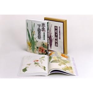 �l�ԍ���O��c���씪 ���ԉ��G�}��