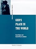 God's Place in the World: Sacred Space and Sacred Place in Judaism (Cassell Religious Studies)