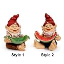 (A) Gnome Bird Feeder 1-Pc