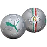 Puma Euro 08 Country SB