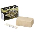 Dam SPRL - Jeu �ducatif - Squelette Dinosaures Mini