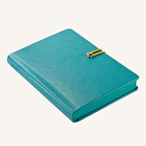 Daycraft 2015 Executive Daily Diary, Blue A6