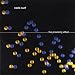 Nada Surf: The Proximity Effect