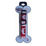 Ohio State Buckeyes Team Logo Dog Collar